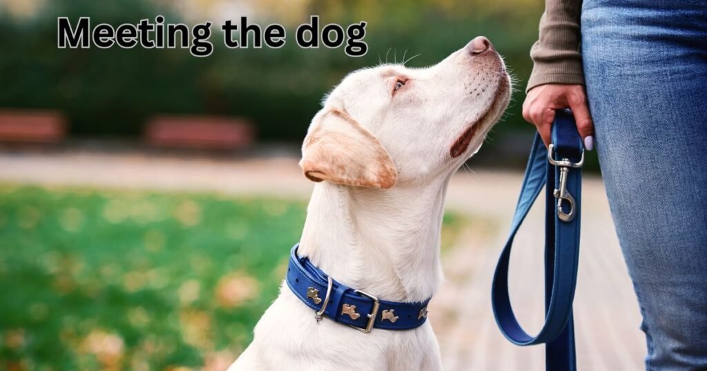 Meeting the dog