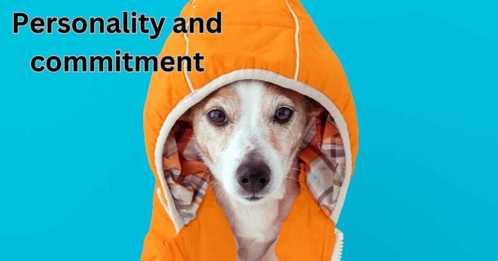 Personality and commitment