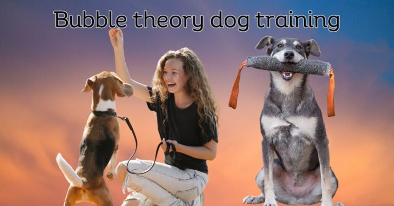 Bubble theory dog training