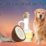 Coconut oil